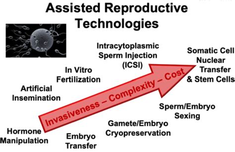 Lecture 7 8 Assisted Reproductive Technologies Flashcards Quizlet