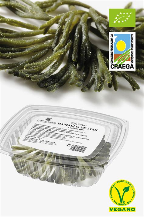 Alga Fresca Codium Bio Portomui Os