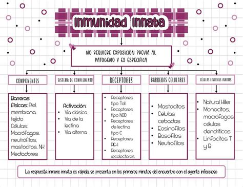 Inmunidad Innata Y Adquirida Esquemas Y Mapas Conceptuales De Porn