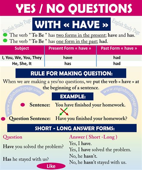 Answering Yes No Questions With Basic Object