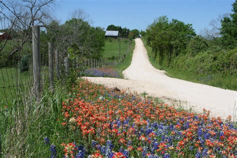 Texas Country Road Country Roads Road Texas Country