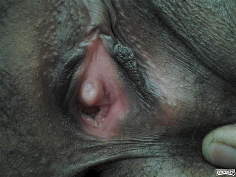 Old Hoes I Use To Fuck ShesFreaky