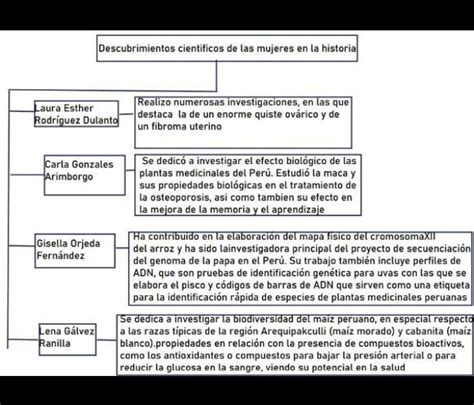 Elabora Un Organizador Visual Sobre La Participaci N De La Mujer