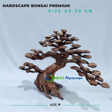 Jual Bonsai Aquascape Aquarium Akar Kayu Rasamala Hardscape Ukuran M