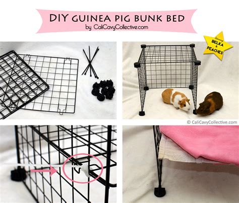 Cali Cavy Collective A Blog About All Things Guinea Pig How To Build