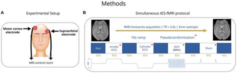 Frontiers Transcranial Electrical Stimulation During Functional