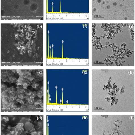 Ad Sem Micrographs Eh Edx Pattern And Il Tem Micrographs Download Scientific