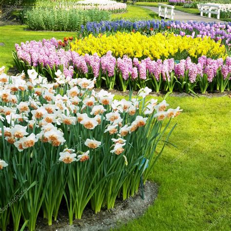 Keukenhof Gardens, Lisse, Netherlands — Stock Photo © phb.cz #10990350