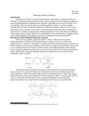 Last Ochem Lab Double Exp Docx Stav Tsur TA Brad Multistep Synthesis