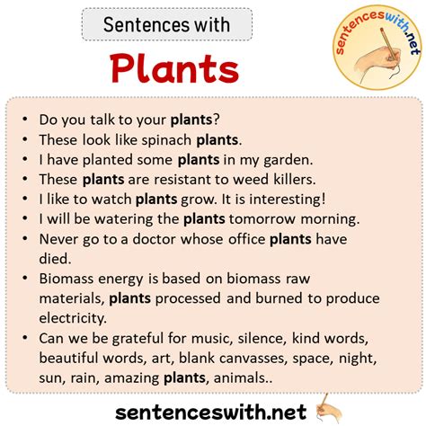 Sentences With Plants Sentences About Plants Sentenceswithnet