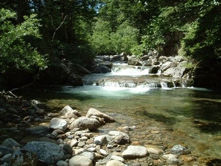 富山県常願寺川真川イワナ 2003年8月12 ぽんぽこ狸の登山日誌5 ぽんぽこ狸の登山日誌5