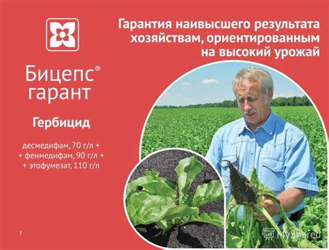Презентация на тему: "Гербицид Бицепс ® гарант Общее Гербицид общая ...