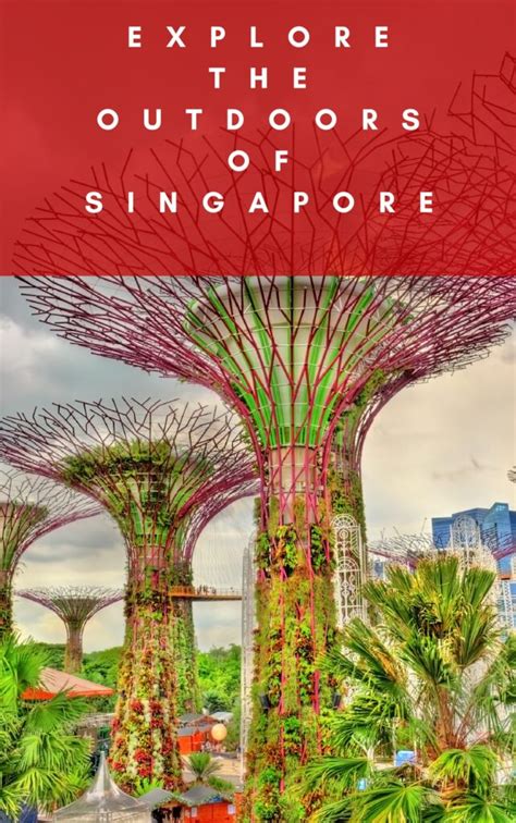 Explore The Outdoors Of Singapore E Book Fair Dinkum Traveller