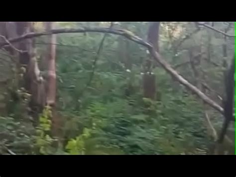 Exploring The Woods XVIDEOS