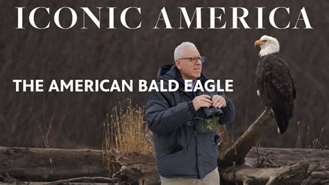 The American Bald Eagle: Full Episode | Iconic America | PBS LearningMedia