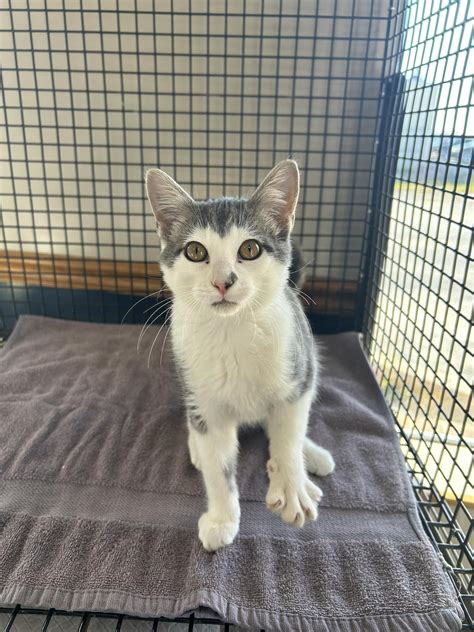 Marshfield Veterinary Clinic | Marshfield MO