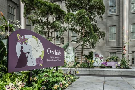 Orchids: Hidden Stories of Groundbreaking Women - Smithsonian Exhibits