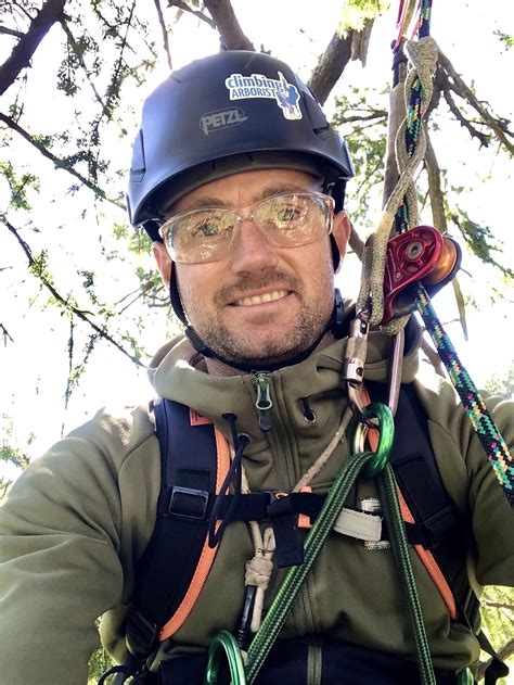 Old growth tree climbing | Grizzly Tree Experts