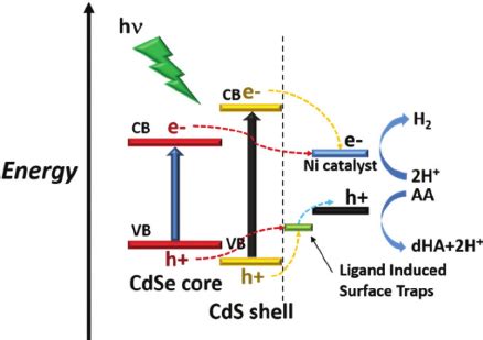 Schematic Illustration Of Relative Energy Band Diagram Of The Cdse Cds