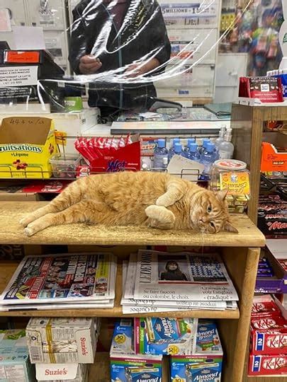 Sex Differences In Brain Size And General Intelligence By Dimitri Van Der Linden Goodreads