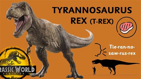 TREX Tyrannosaurus Rex Fast Facts YouTube