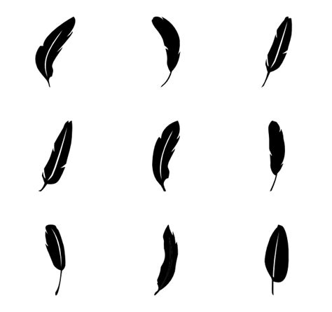 Feather Silhouette Vector At Getdrawings Free Download