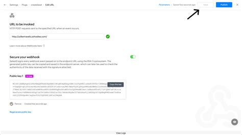 Registering a Webhook - Plugs