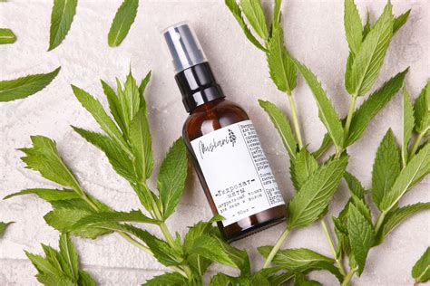 Гидролат Мяты натуральный, 100 мл купить