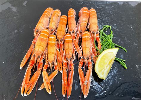 Frozen Langoustine Tails D R Collin Fish