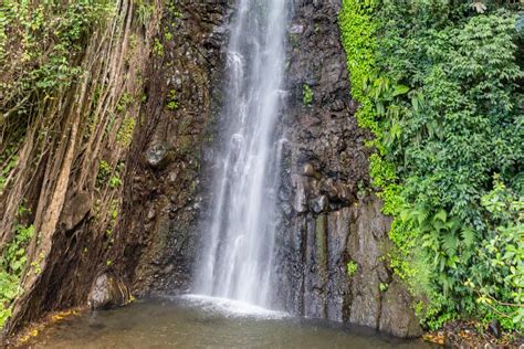 Dark View Falls Tour From Kingstown Book Online At Civitatis