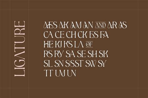 Aesthetic Serif Font