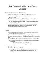 Understanding Sex Determination In Mammals X And Y Chromosome Course