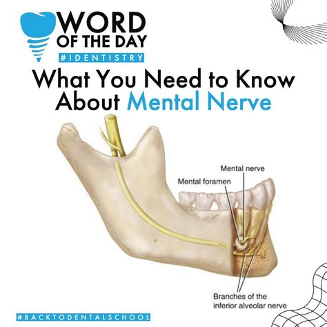 dentistry  instagram  instagram