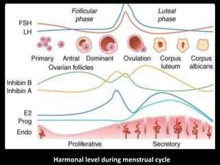FEMALE SEX HORMONES PPT Pptx Reproductive Health Diseases And Conditions