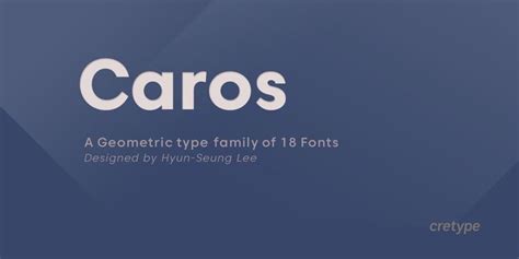 Caros Webfont And Desktop Font Myfonts Contemporary Fonts Caro