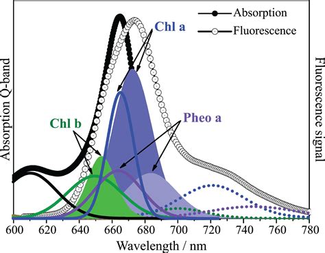 Chlorophyll Fluorescence Spectrum