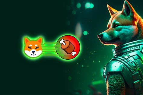 Shiba Inu To Launch Shibarium Public Beta This Week Tokeninsight