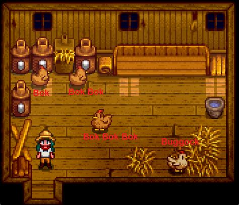 Chicken Coop Build: Stardew Valley Chicken Back In Coop