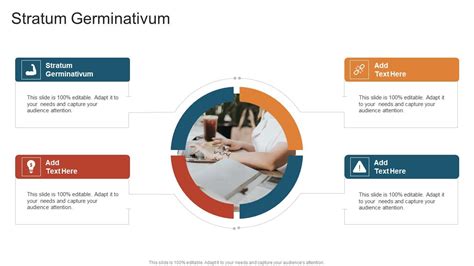 Stratum Germinativum In Powerpoint And Google Slides Cpb PPT Example