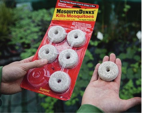 Mosquito Dunks Are Slam Dunks – The Long Island Conservancy