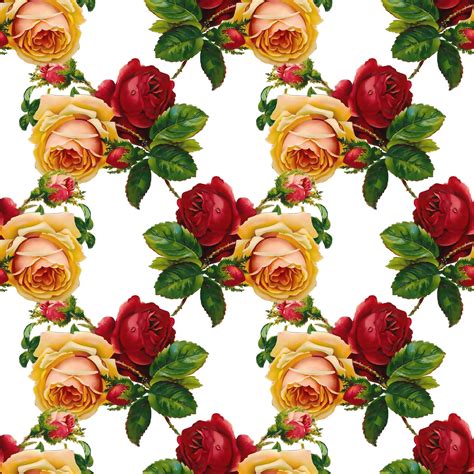 Vintage Rose Wallpaper Picture