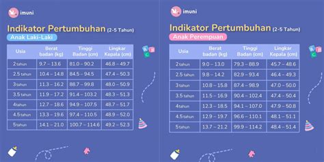 Panduan Perkembangan Anak Usia 2 Sampai Dengan 5 Tahun