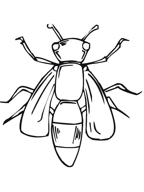 Lightning Bug Coloring Pages