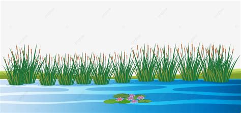 Cartoon Background Pond PNG, Vector, PSD, and Clipart With Transparent ...