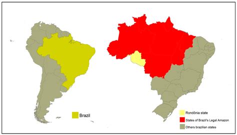 Epidemiology and Control of Rabies in Cattle and Equines in Rondônia
