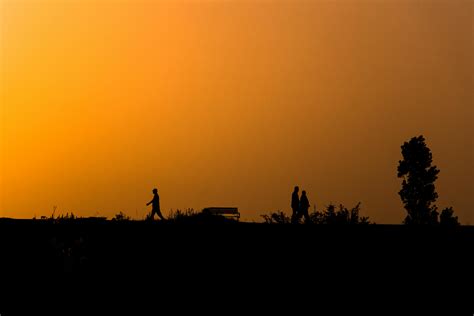 Silhouette of a People During Golden HourFree Stock Photo