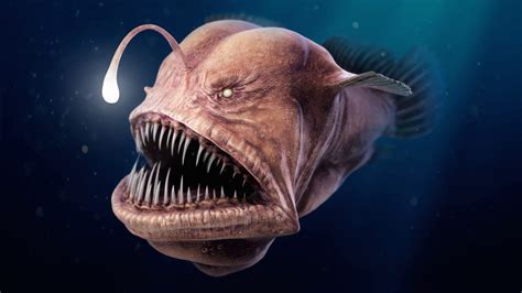 Top 10 Creepy Deep Sea Creatures 🐟 The Most Terrible Deep Sea Creatures