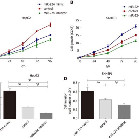 Exosomal Microrna 224 Regulates Hepatocellular Carcinoma Cell