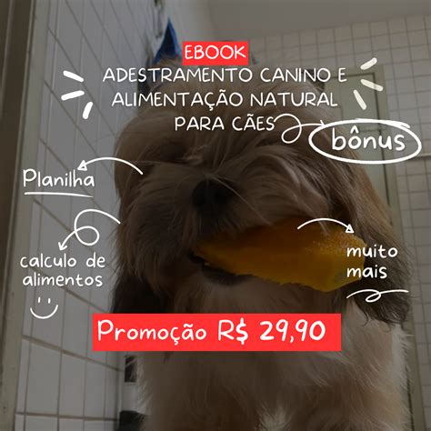 Adestramento Canino Em Casa E Alimenta O Natural Para C Es Francisco