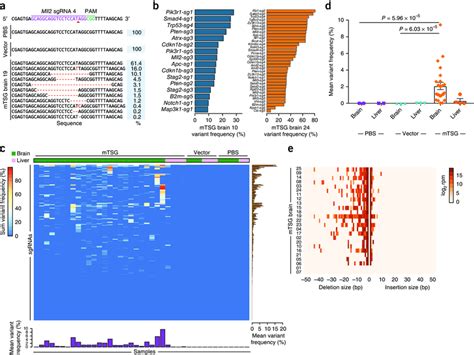 Targeted Capture Sequencing Of Sgrna Sites In Aav Mtsg Induced Mouse